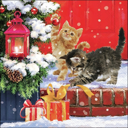 Șervețel - Kittens on Doorstep - 25x25 cm 1 Șervețel - Kittens on Doorstep - 25x25 cm