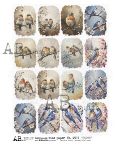 Hârtie de orez - Flowering Branch with Birds - A4