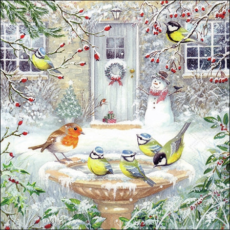 Șervețel - Joy Bath - 25x25 cm 1 Șervețel - Joy Bath - 25x25 cm