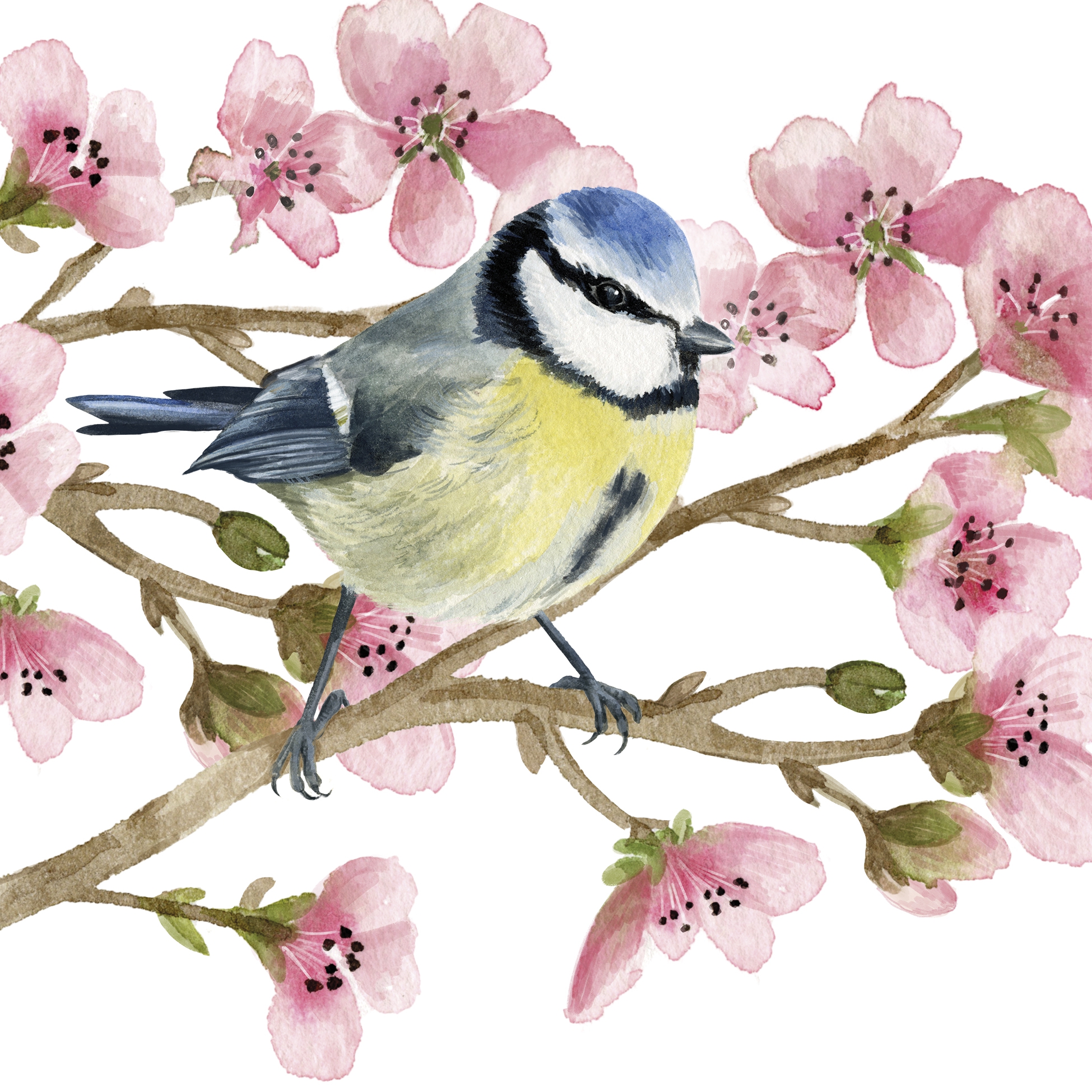 Șervețel - Oiseau Printemps - 33x33 cm 1 Șervețel - Oiseau Printemps - 33x33 cm