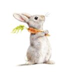 Șervețel - Rabbit & Carrot - 33x33 cm