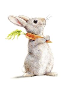 Șervețel - Rabbit & Carrot - 33x33 cm