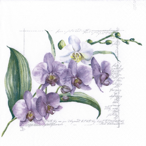 Șervețel – Orchidée lilac – 33×33 cm 1 Șervețel – Orchidée lilac – 33×33 cm