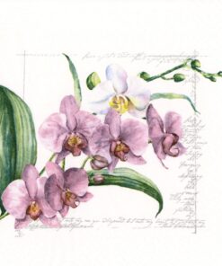 Șervețel – Orchidée – 33×33 cm