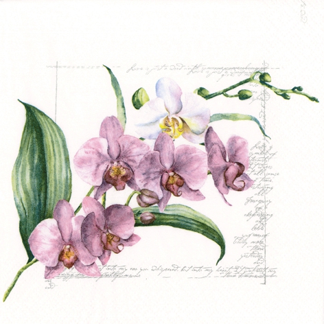 Șervețel – Orchidée – 33×33 cm 1 Șervețel – Orchidée – 33×33 cm