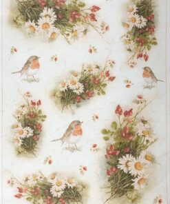 Hârtie de orez – Robin and Rose hip – 32×45 cm