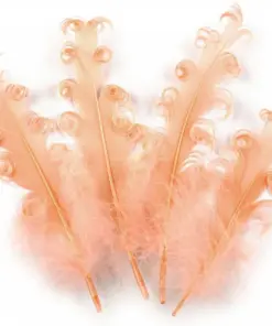 Pene crețe decorative – 12-18 cm – somon deschis