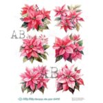 Hârtie de orez – Poinsettia – A4