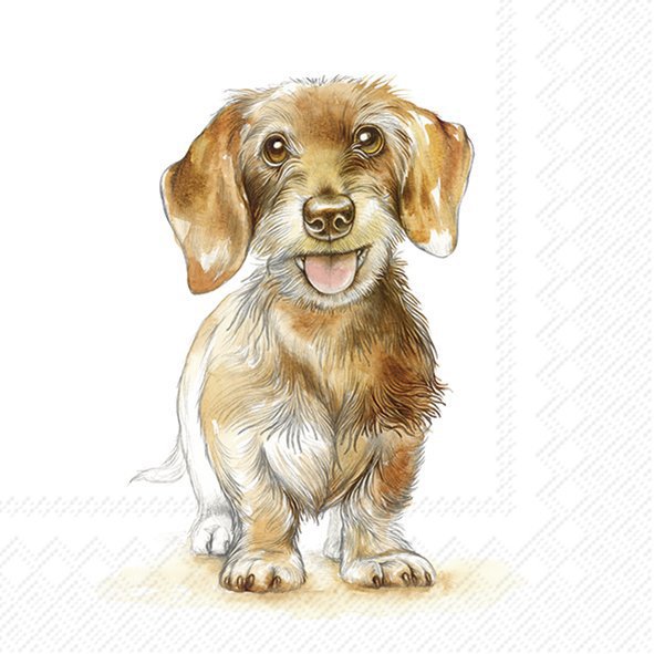 Șervețel - Fritz - 33x33 cm 1 Șervețel - Fritz - 33x33 cm