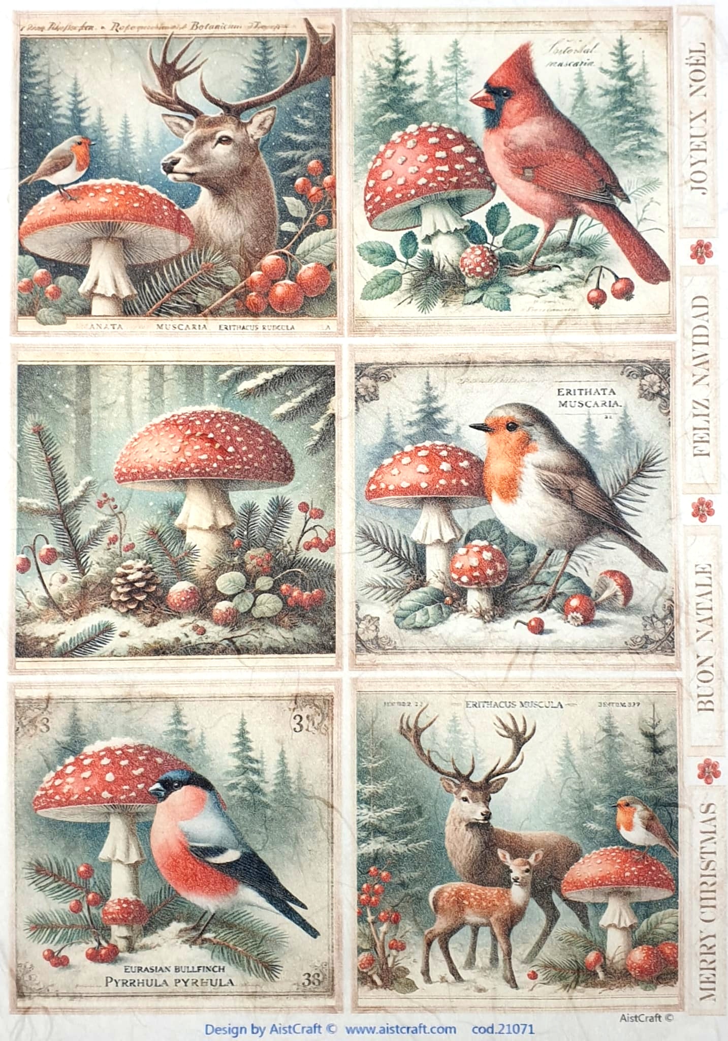 Hârtie de orez - Erithata Muscaria - A4 1 Hârtie de orez - Erithata Muscaria - A4