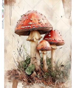 Hârtie de orez – Amanita Muscaria - A5