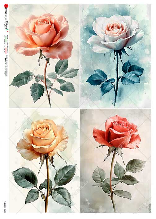 Hârtie de orez – Roses in 4 acts - A5 1 Hârtie de orez – Roses in 4 acts - A5