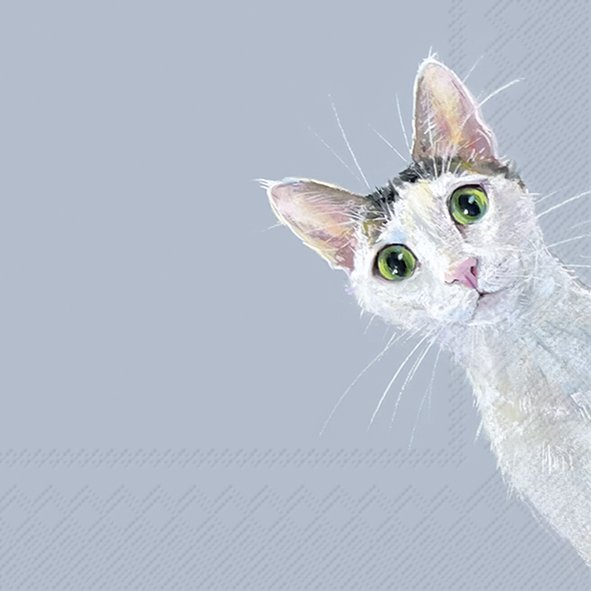 Șervețel - Cat Stella - 33x33 cm 1 Șervețel - Cat Stella - 33x33 cm