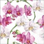 Șervețel - Elegant orchids white - 33x33 cm