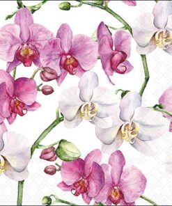Șervețel - Elegant orchids white - 33x33 cm