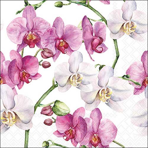Șervețel - Elegant orchids white - 33x33 cm 1 Șervețel - Elegant orchids white - 33x33 cm