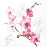 Șervețel - Orchid - 33x33 cm