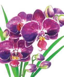 Șervețel - Orchidea - 33x33 cm