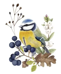 Șervețel – Oiseau en Nature - 25×25 cm