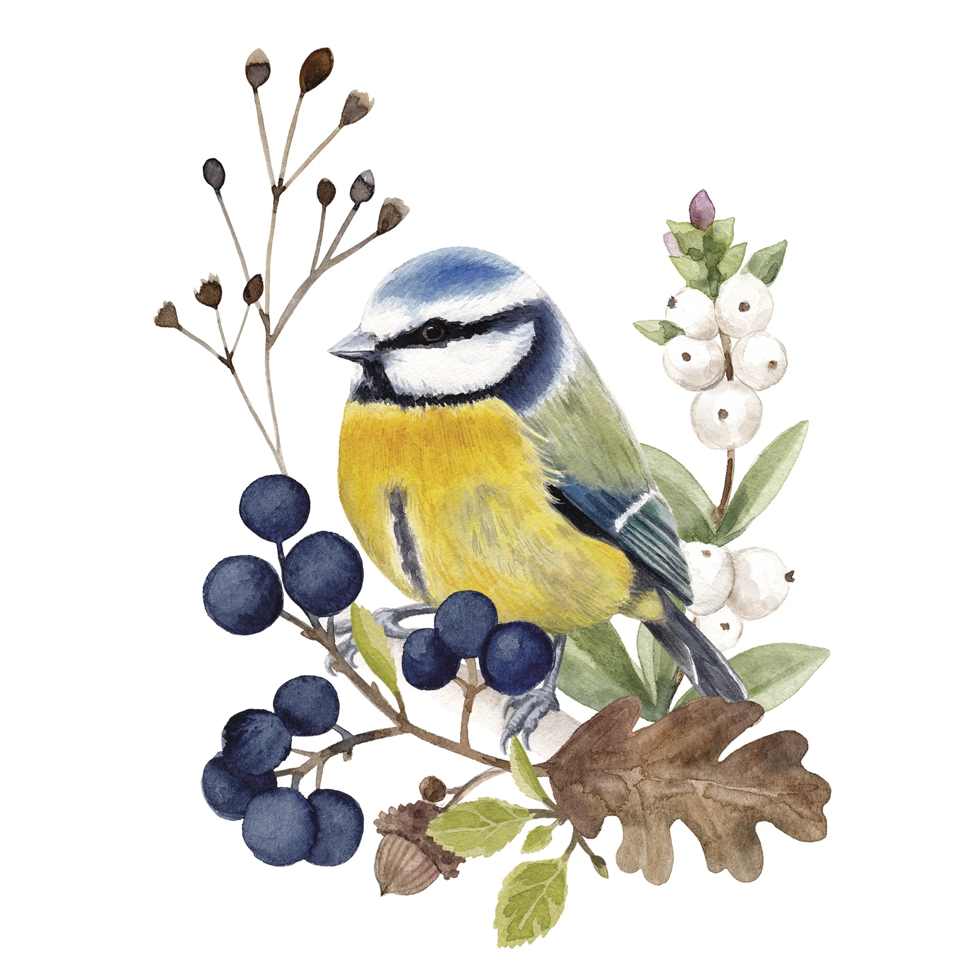 Șervețel – Oiseau en Nature - 25×25 cm 1 Șervețel – Oiseau en Nature - 25×25 cm