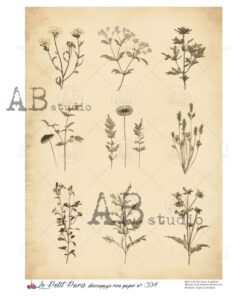 Hârtie de orez – Wild Plants – A4