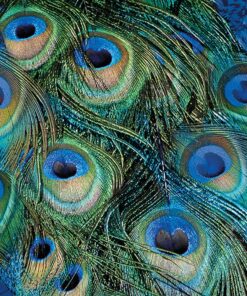 Șervețel – Peacock Feathers – 25x25 cm