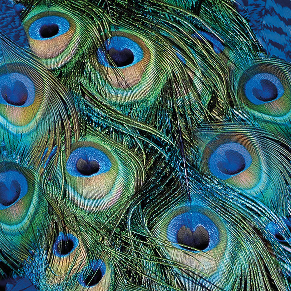 Șervețel – Peacock Feathers – 25x25 cm 1 Șervețel – Peacock Feathers – 25x25 cm