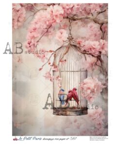 Hârtie de orez - The Cage – A4