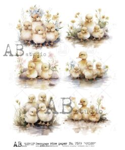 Hârtie de orez – Ducks Family – A4