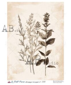 Hârtie de orez – Wild Plants Sepia – A4